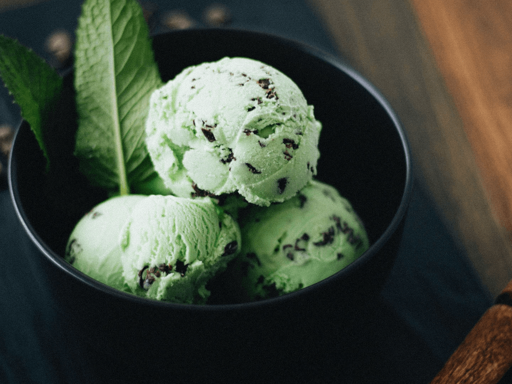 Sorbet Menthe Chocolat
